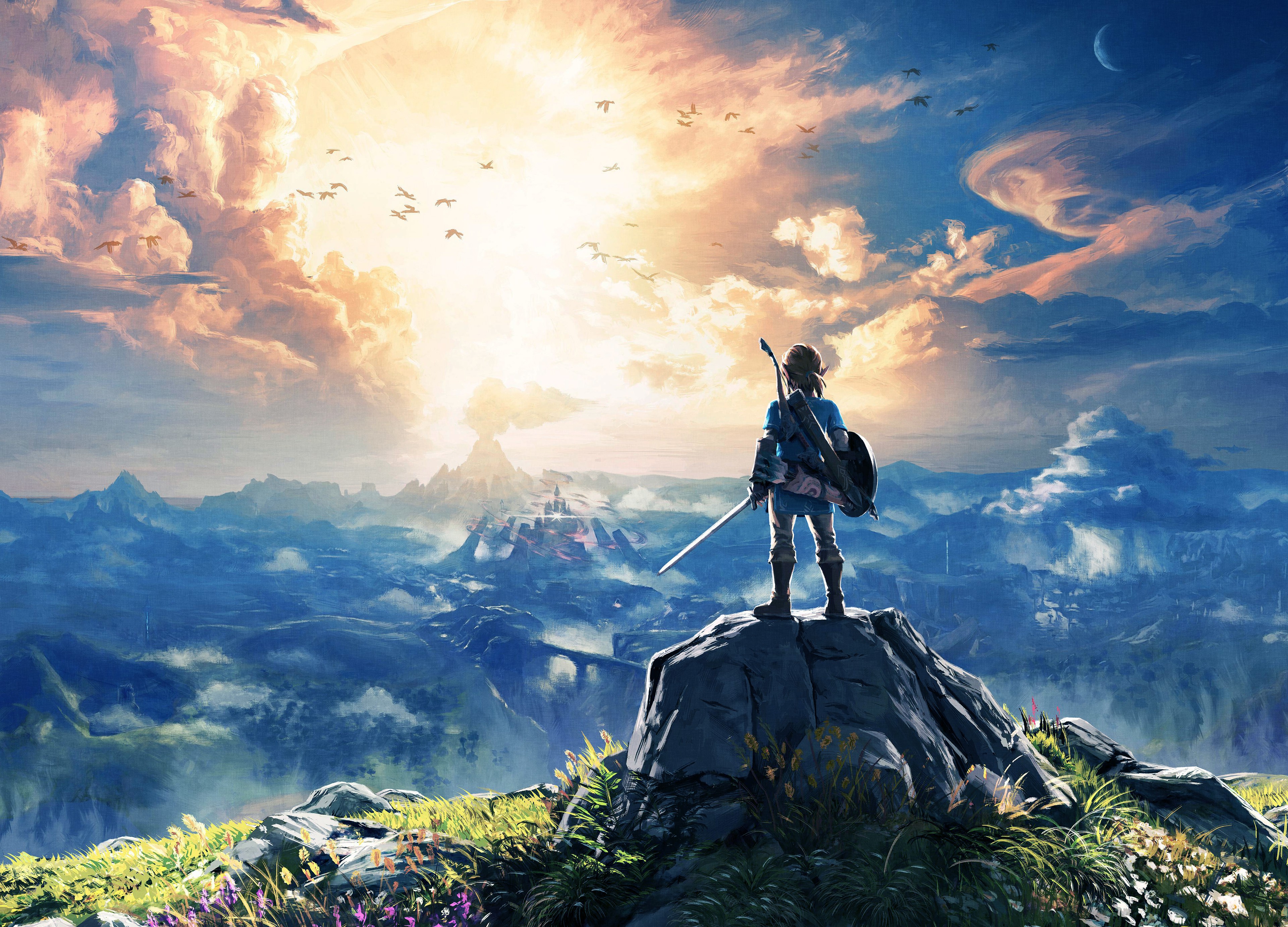 Link from Breath of the Wild standing on a cliff overlooking a valley